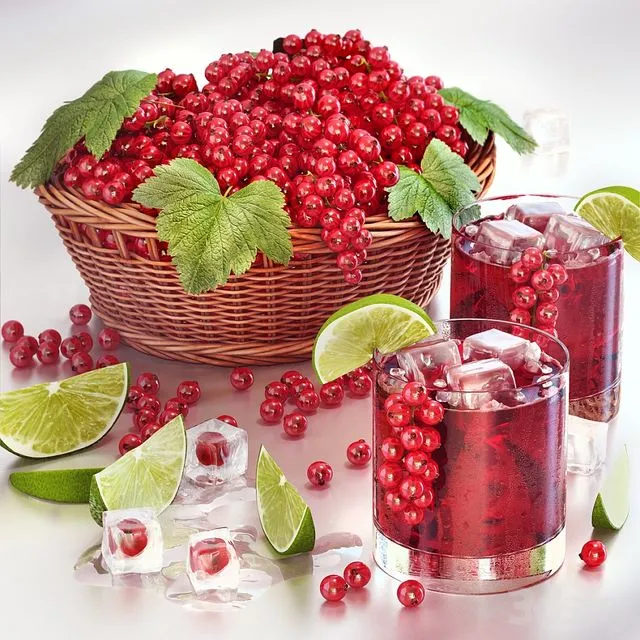 Currant juice with berries 3dsMax Model