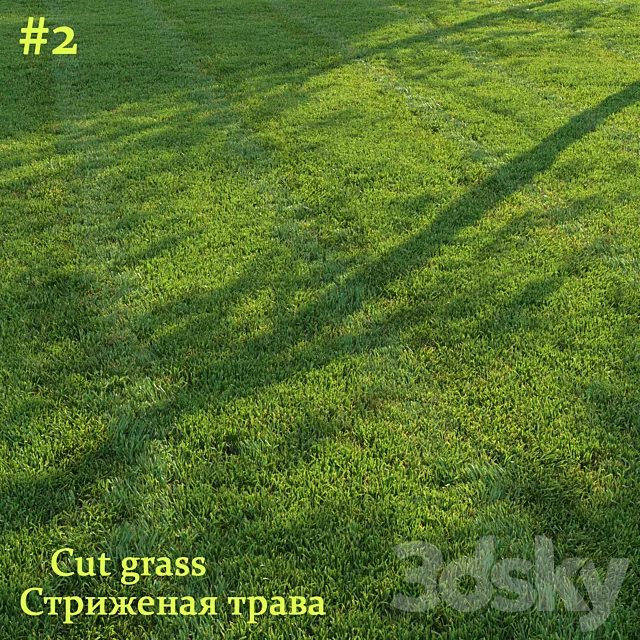 Cut grass #2 3ds Max