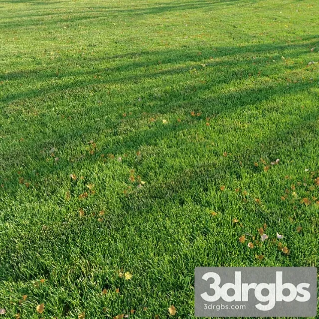 Cut Grass 3dsmax Download