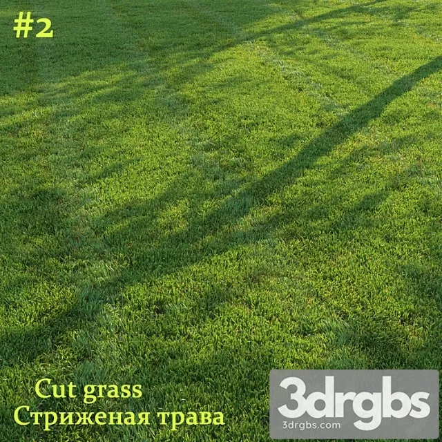 Cut grass