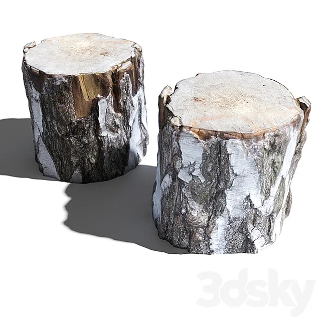 Cutted trunk 3DS Max Model