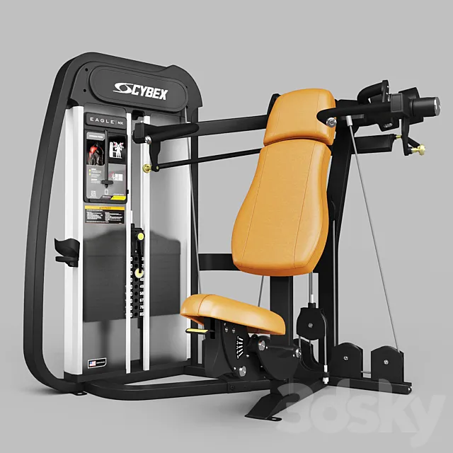 Cybex Strength Training Equipment 3DS Max Model