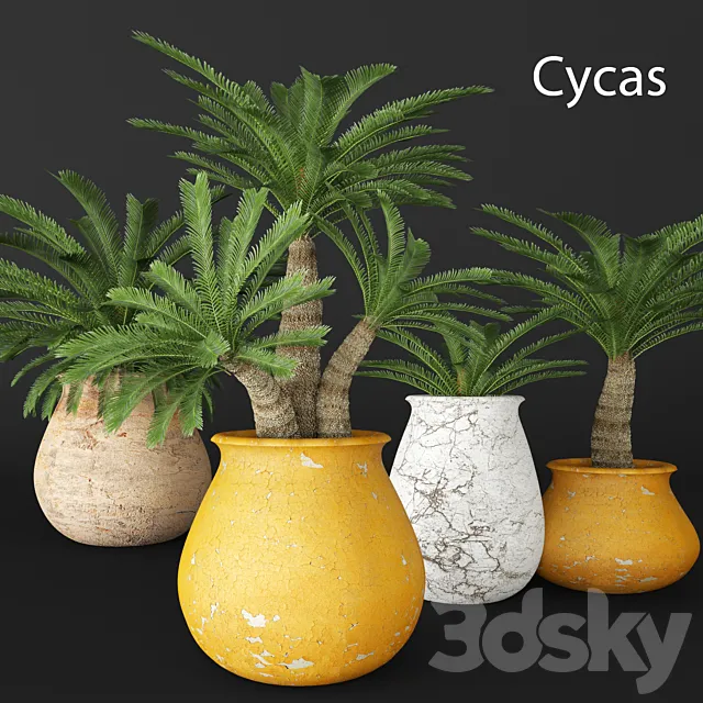 Cycas collection flower pot flowerpot outdoor exotic 3ds Max