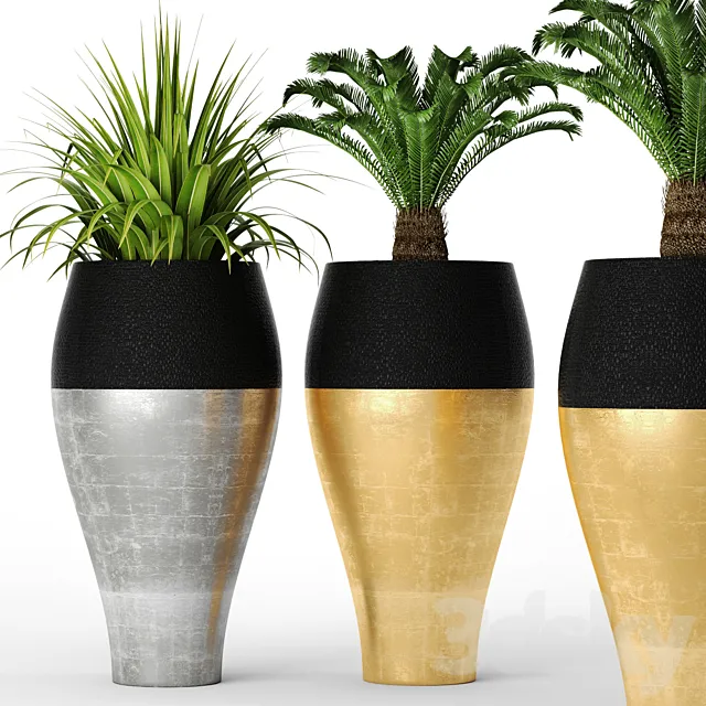 Cycas set pot flowerpot luxury golden cycas interior 3ds Max