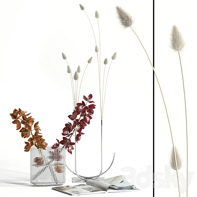 Cymbidium & lagurus decor 3ds Max