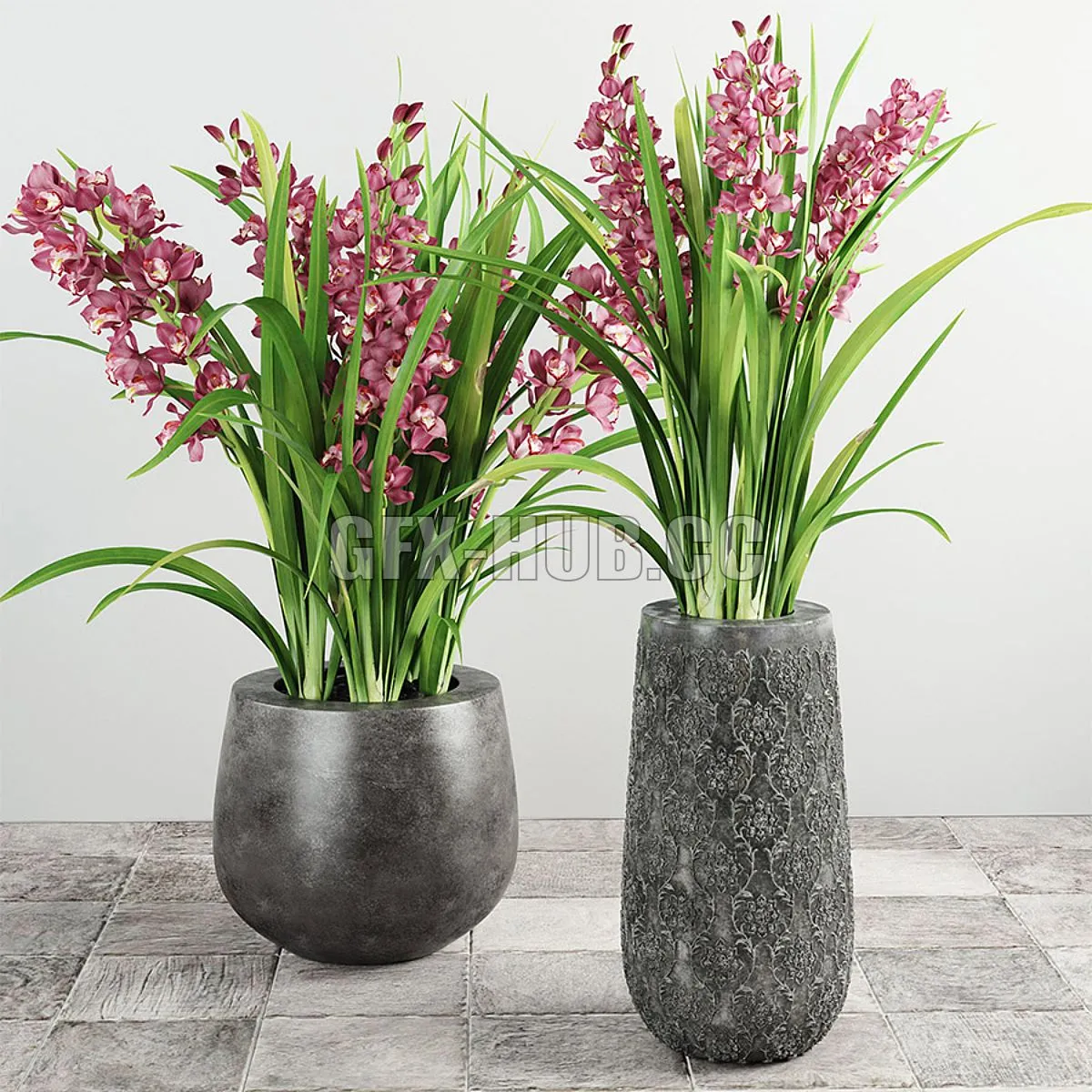 Cymbidium Orchid 3dsMax Model