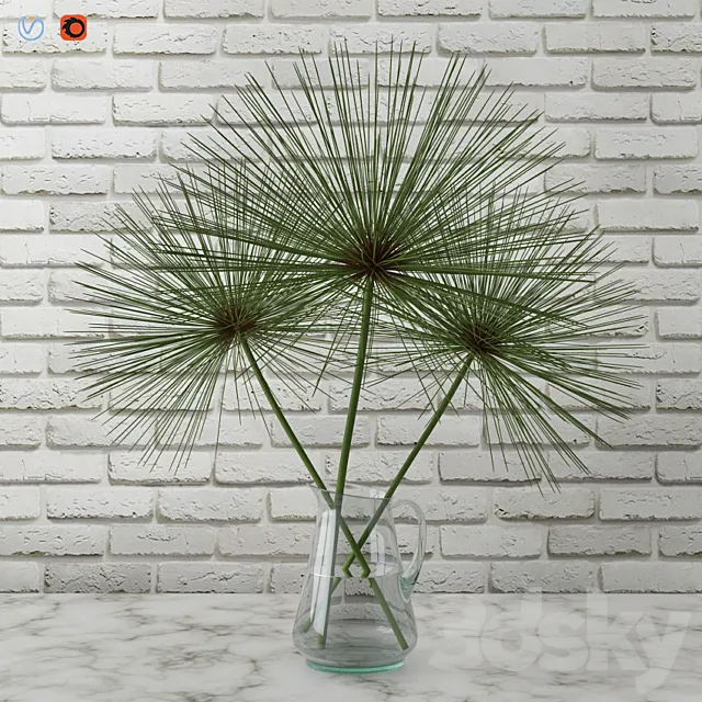 Cyperus papyrus _ Papyrus in a vase 3DSMax File