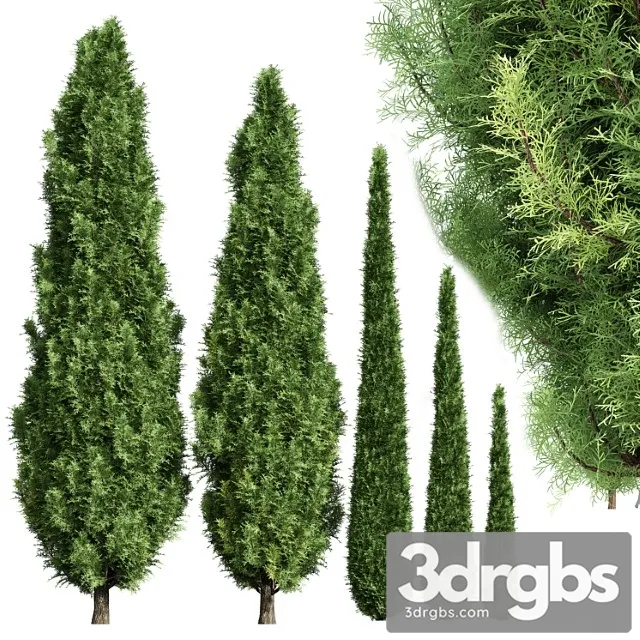 Cypress 5 Trees 3dsmax Download