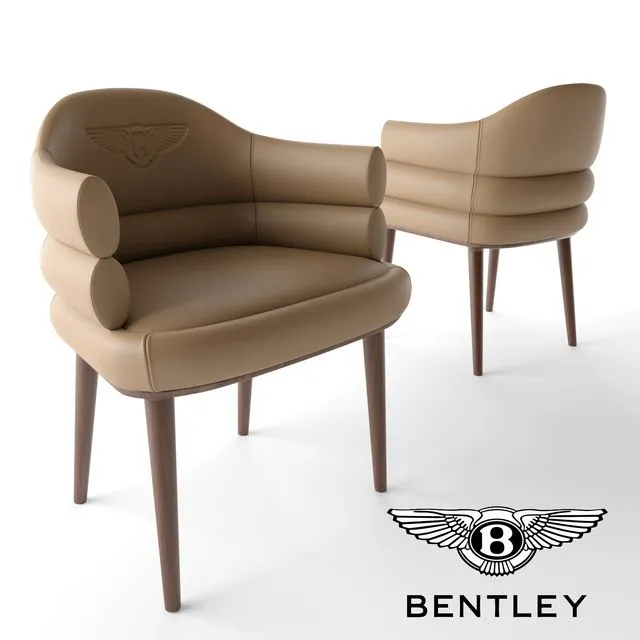 Сhair TERRY BENTLEY Home 3dsMax Model