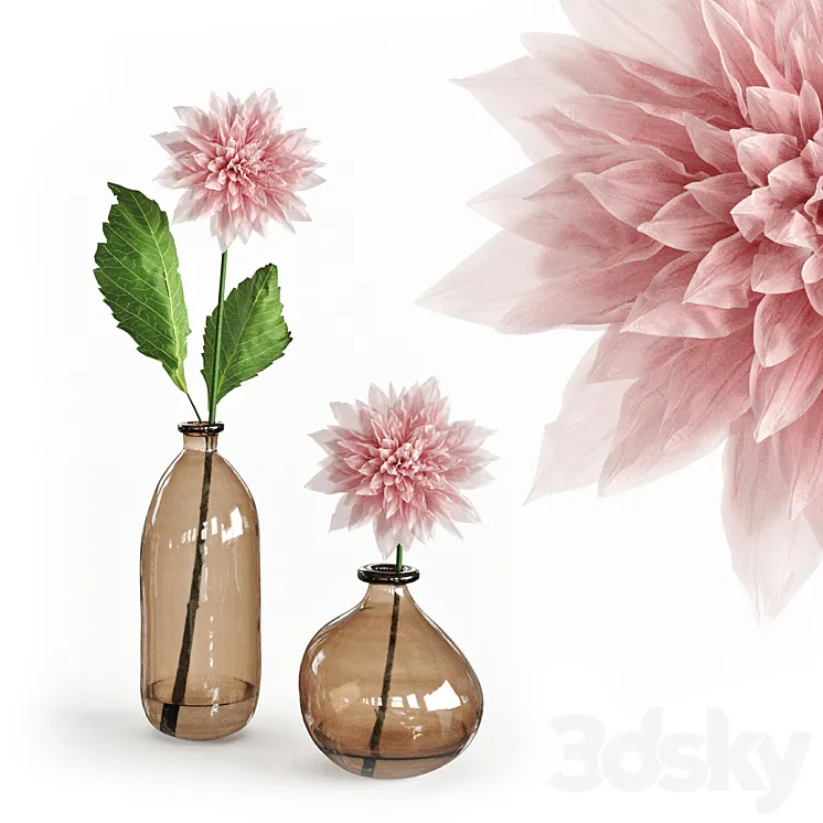 Dahlia in a glass vase 3DS Max Model