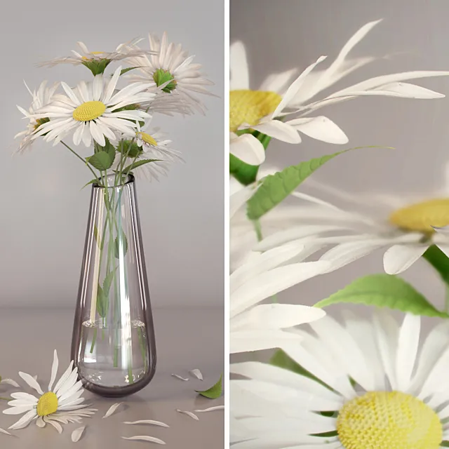 Daisies 3DS Max Model