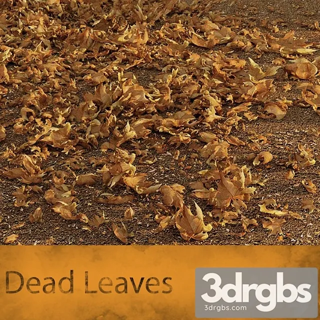Dead Leaves 3dsmax Download