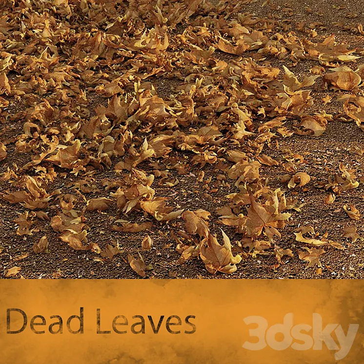 Dead Leaves 3DS Max
