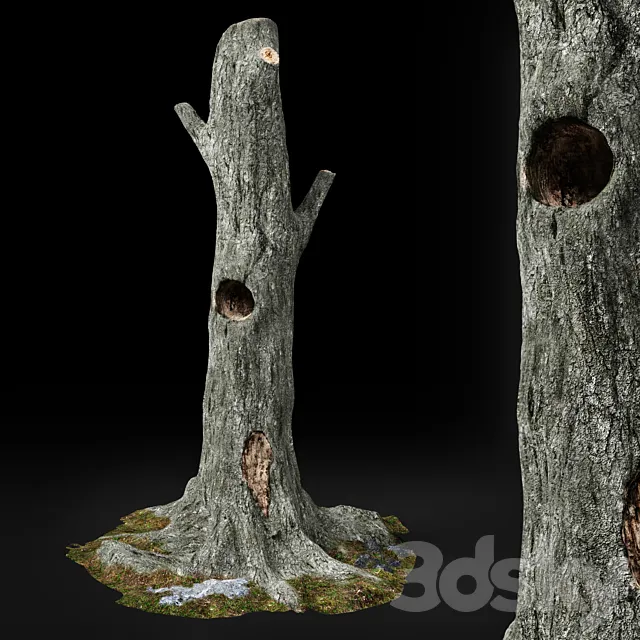 Dead tree Chestnut 3DS Max Model