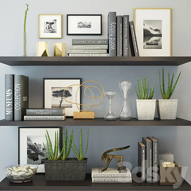 Decor black color 3ds Max