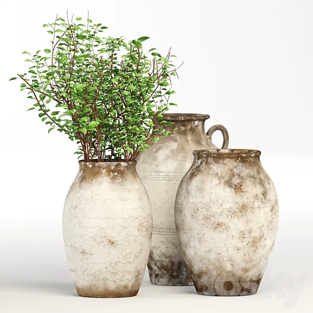 decor-jug 3DS Max Model