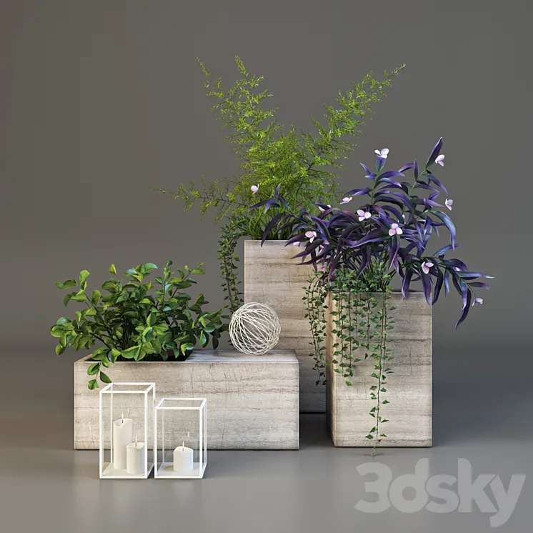 Decor set with plants 3DS Max