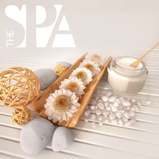 Decor SPA # 2 3dsMax Model