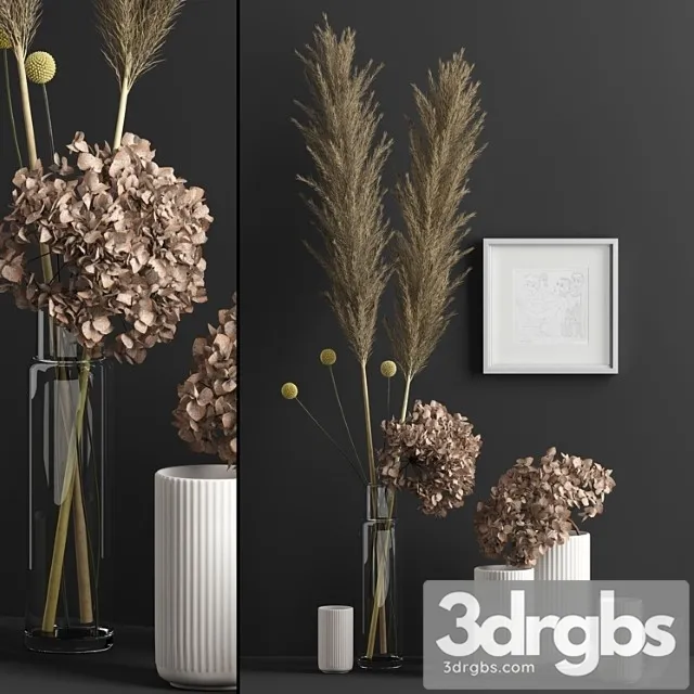 Decor with dry flowers