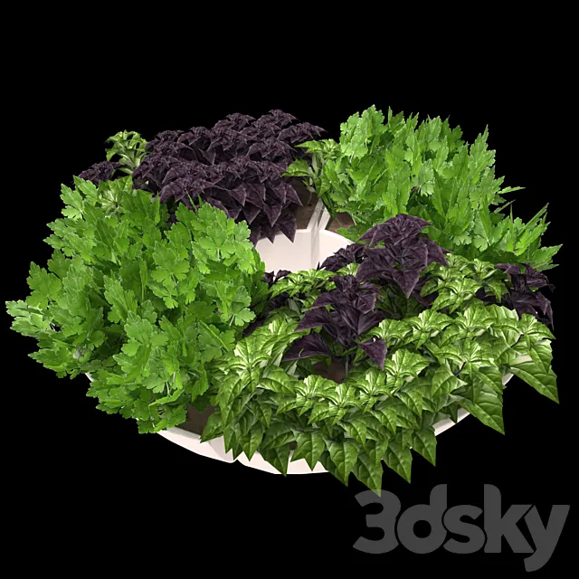 Decor with herbs 3DS Max Model