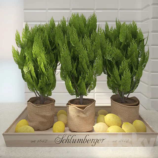 Decor with lemon 3DS Max Model