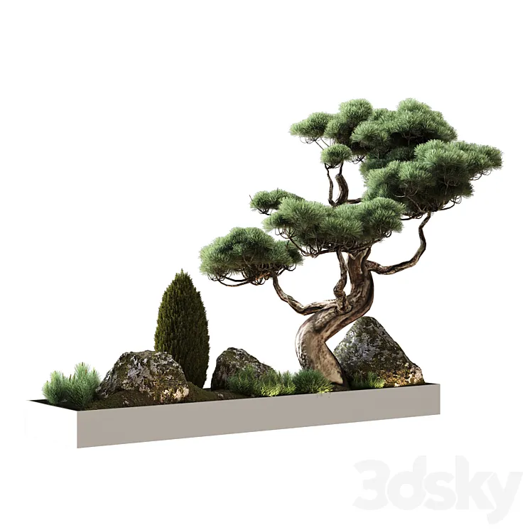 Decor with pine 3DS Max