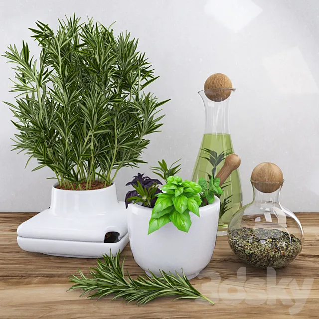 Decor with spicy herbs – rosemary 3DSMax File