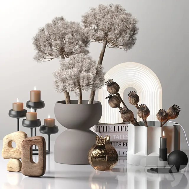 Decor_set_03 with Fluffy Dried Flower 3DSMax File