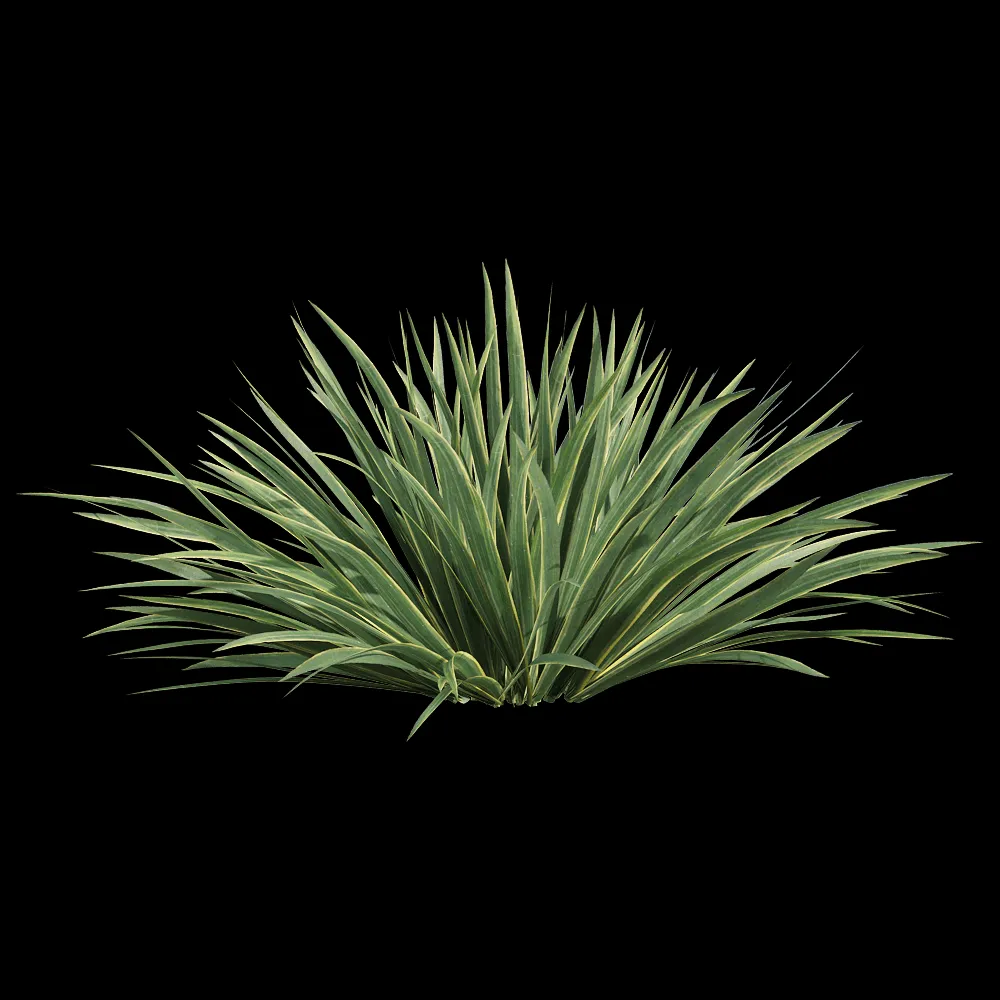 decoration – Acorus calamus little 1 3ds Max