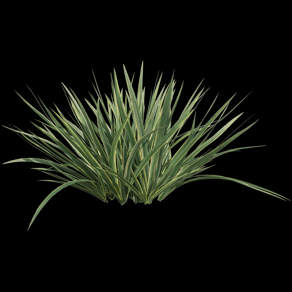 decoration – Acorus calamus little 2 3ds Max