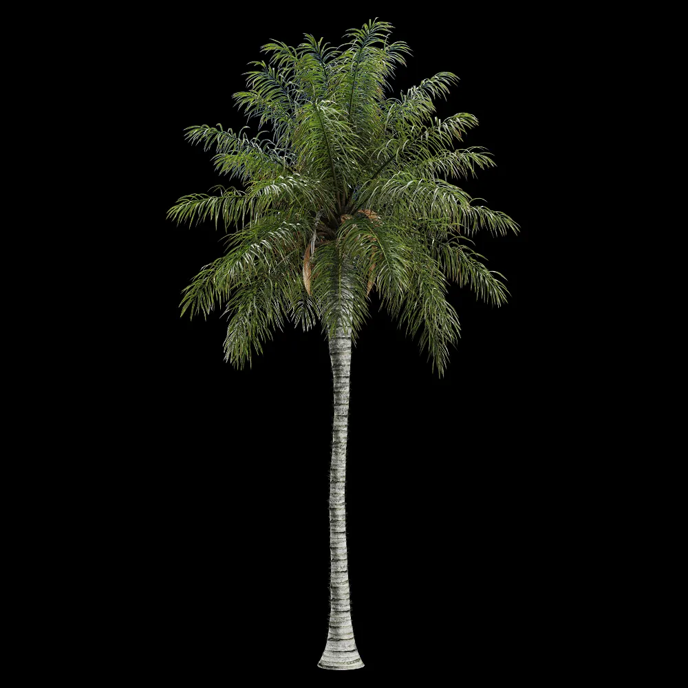 decoration – Acrocomia aculeata 2 3ds Max