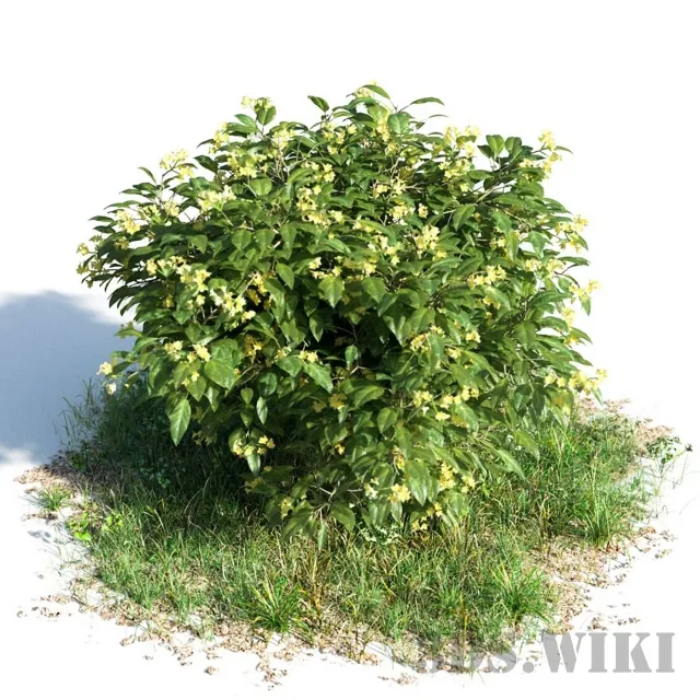 decoration – Allamanda 3ds Max