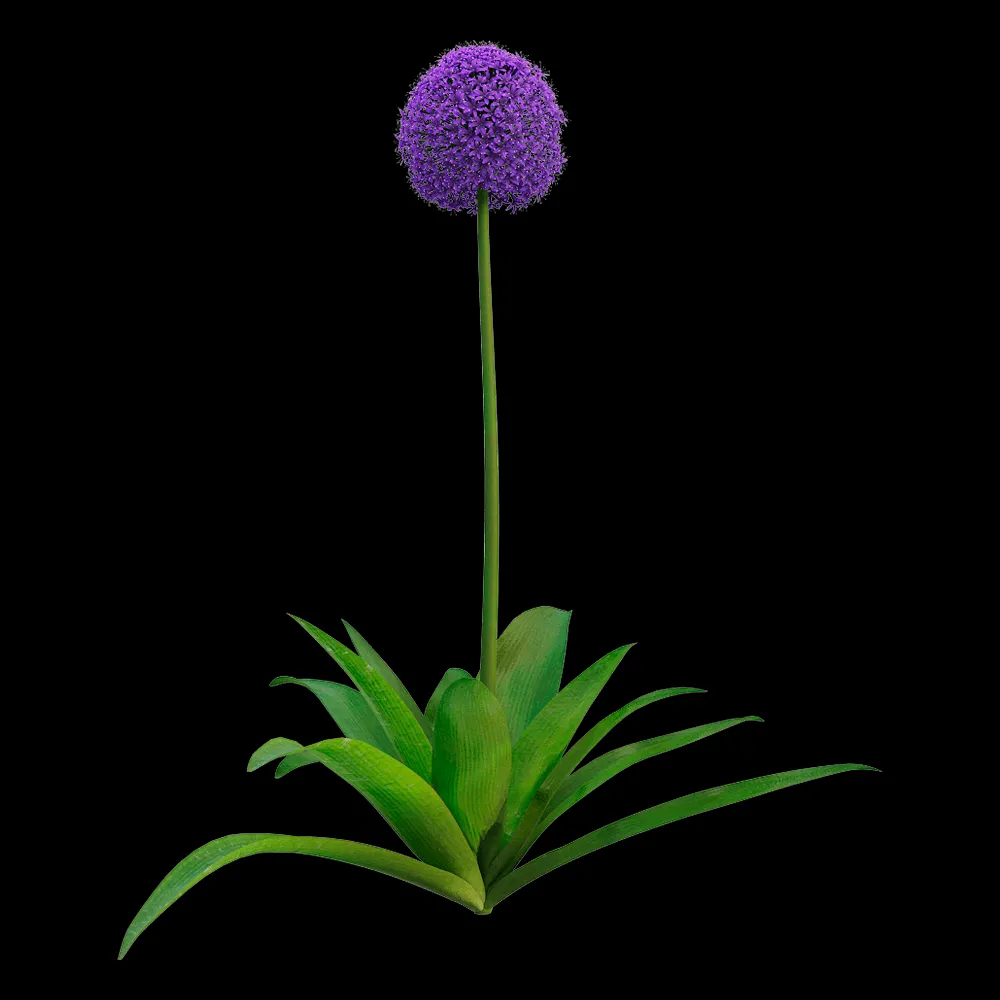 decoration – Allium giganteum  3 3ds Max