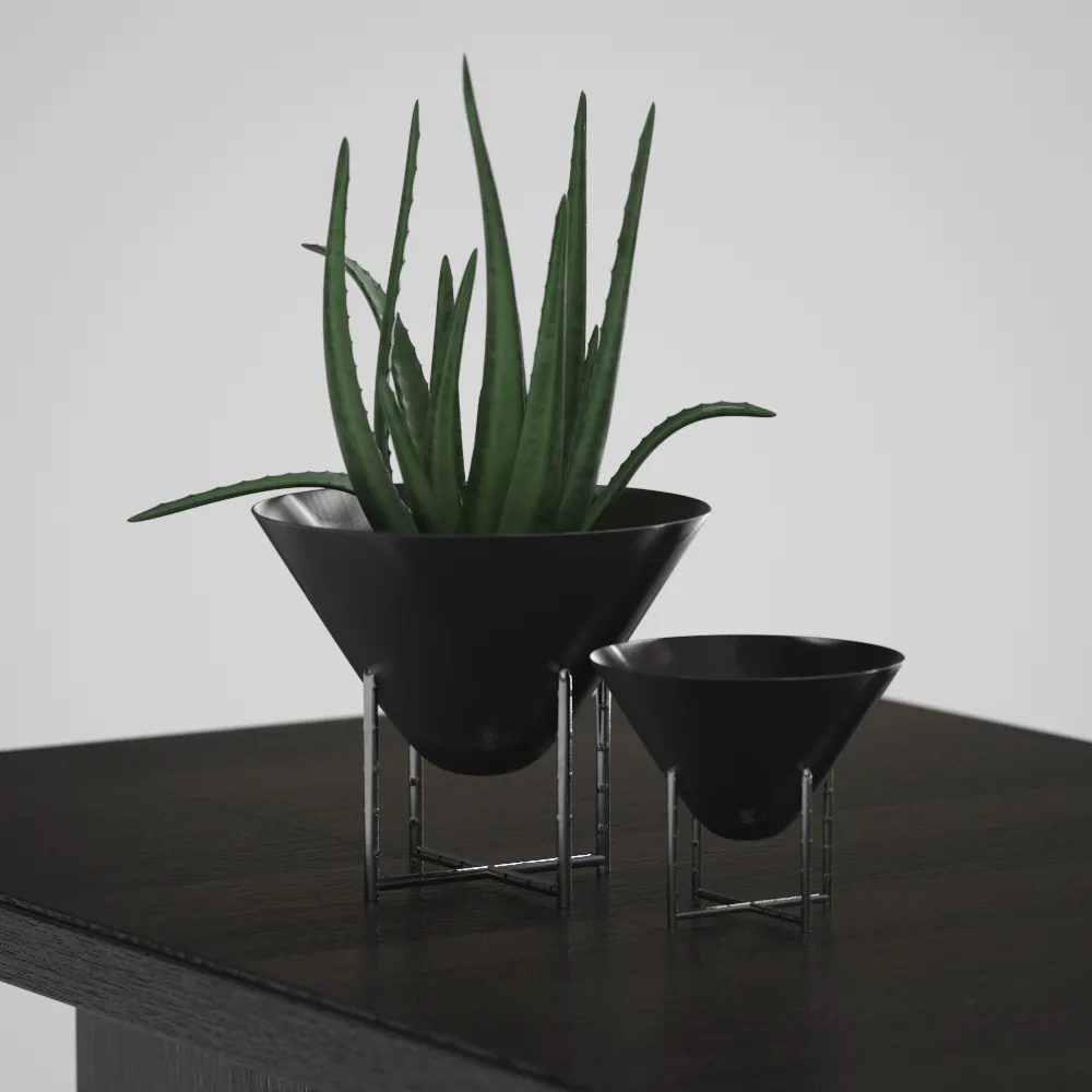 decoration – Aloe vera decvase 3ds Max