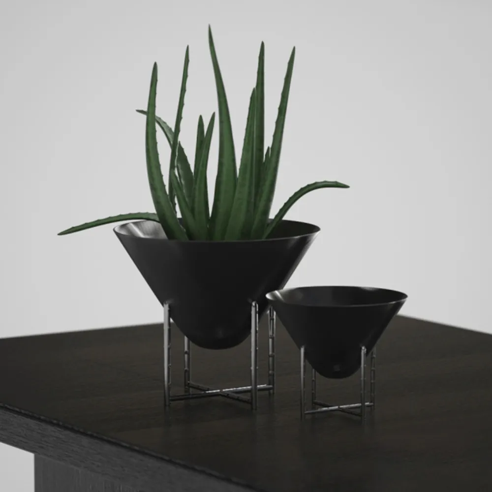 decoration – Aloe Vera in a Vase 3ds Max