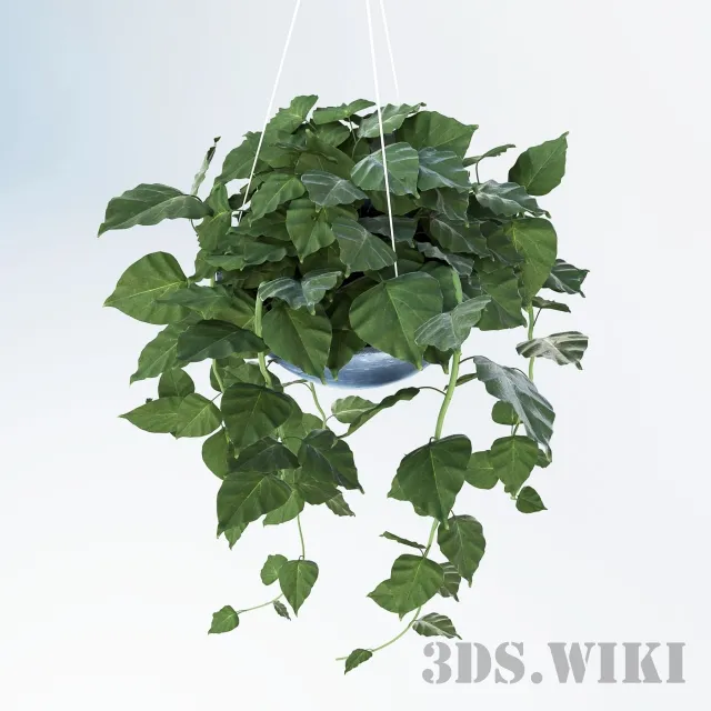 decoration – Ampel plants in hanging pots 3ds Max