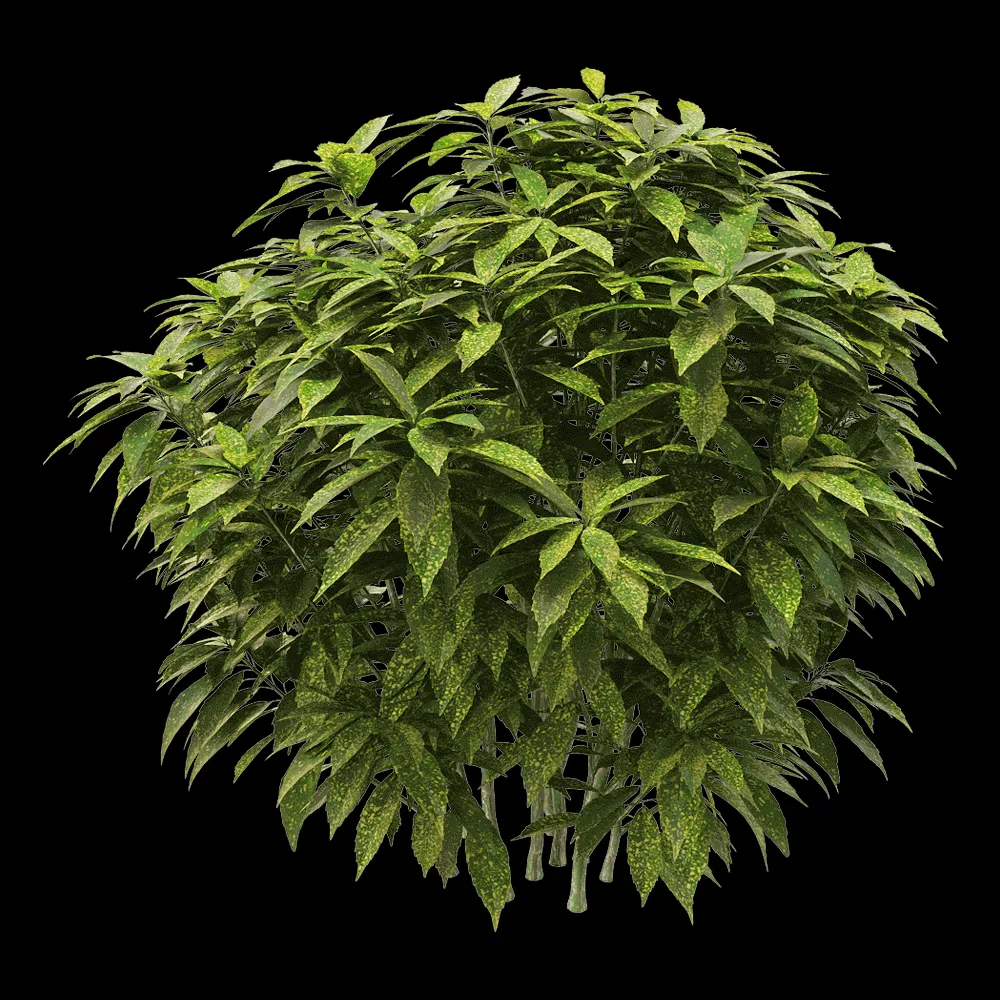 decoration – Ancuba japonica 2 3ds Max