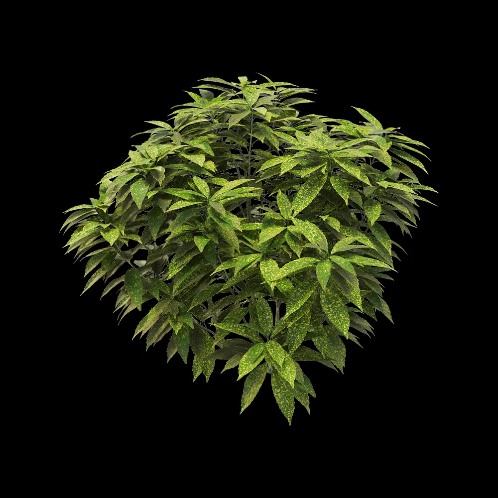 decoration – Ancuba japonica 7 3ds Max