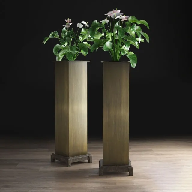 decoration – Anthurium 3ds Max