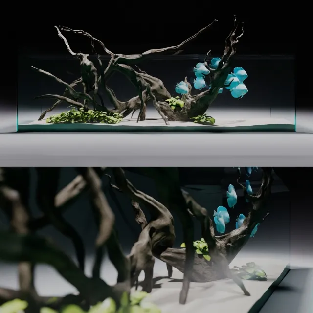 decoration – Aqua-hardscape 3ds Max