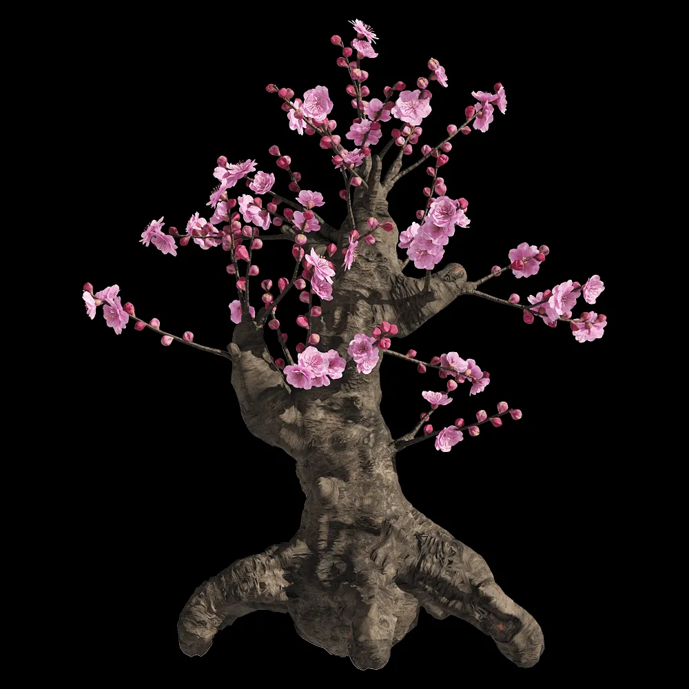 decoration – Armeniaca mume 1 3ds Max