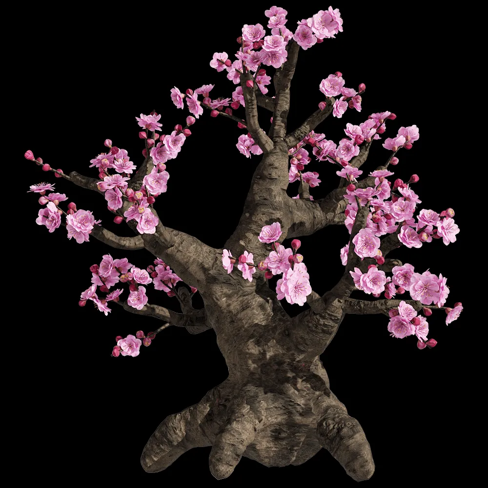 decoration – Armeniaca mume 2 3ds Max