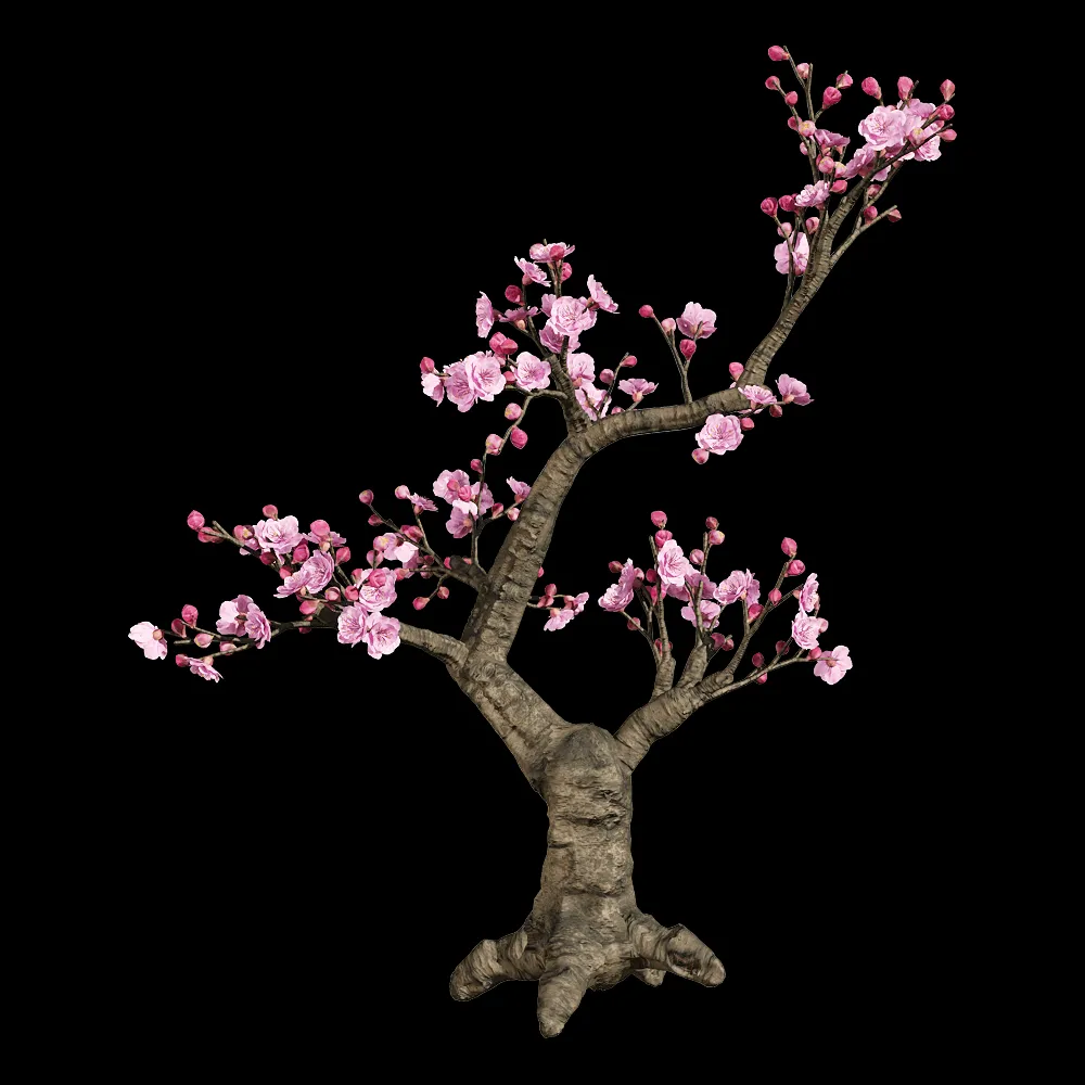 decoration – Armeniaca mume 3 3ds Max