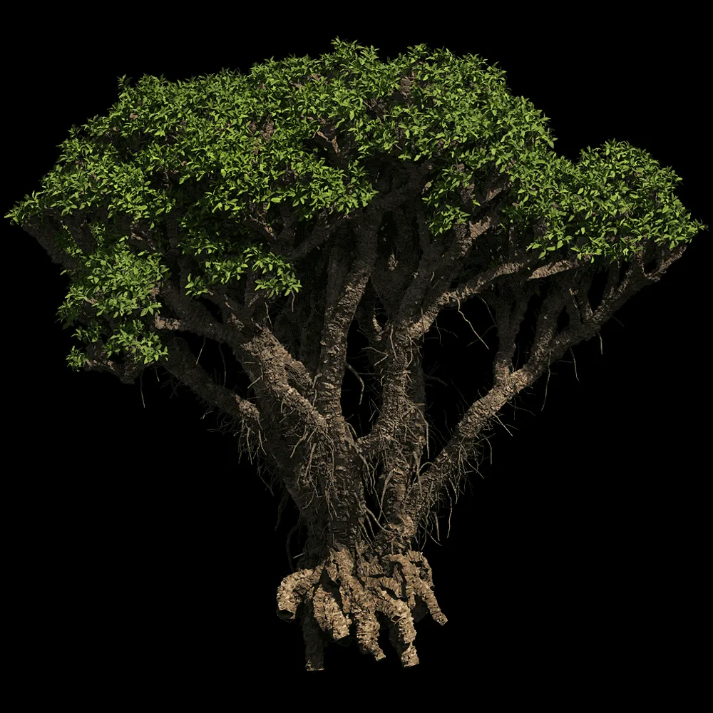 decoration – Avicennia Marina 01 01 3ds Max