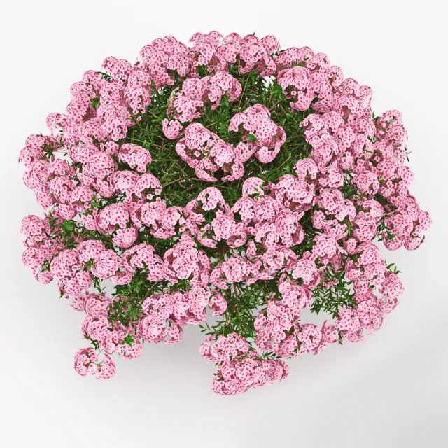 decoration – Azalea 3ds Max