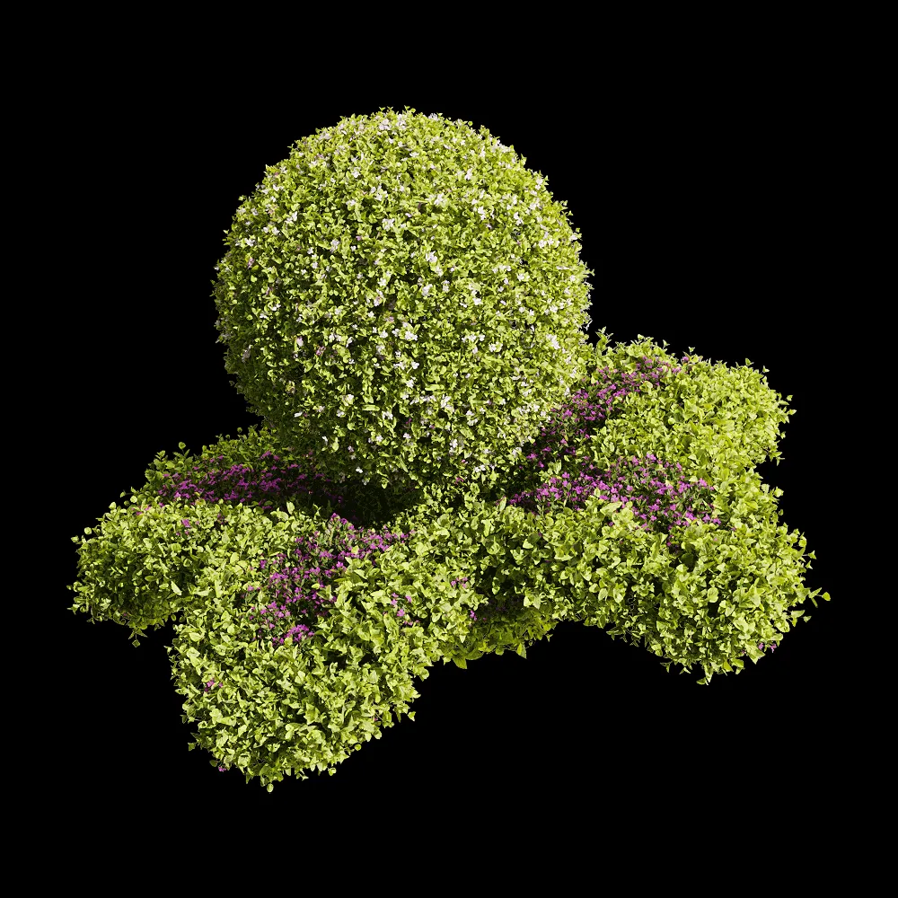 decoration – Bacopa diffusa 5 3ds Max