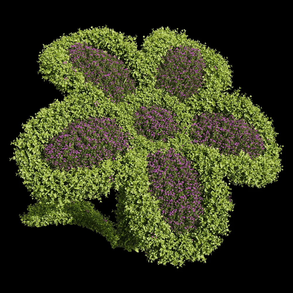 decoration – Bacopa diffusa 6 3ds Max