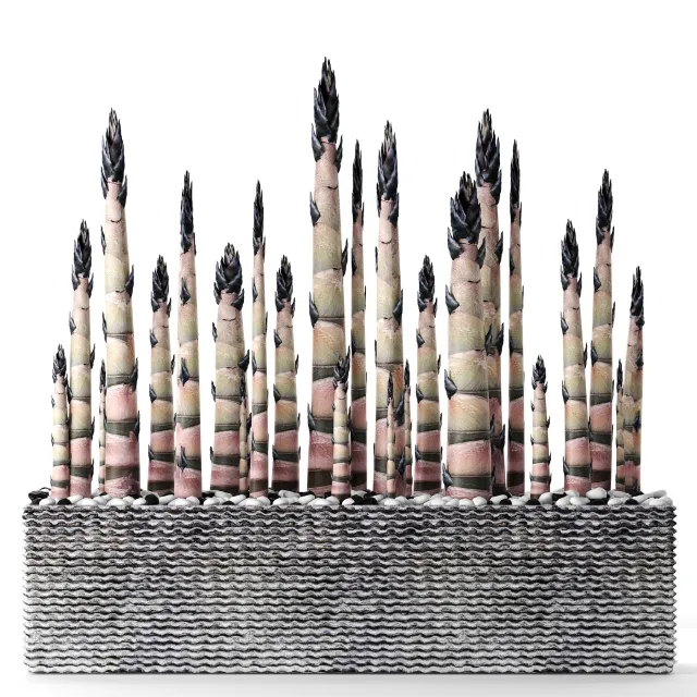 decoration – Bamboo 18 3ds Max