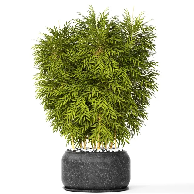 decoration – Bamboo 3ds Max