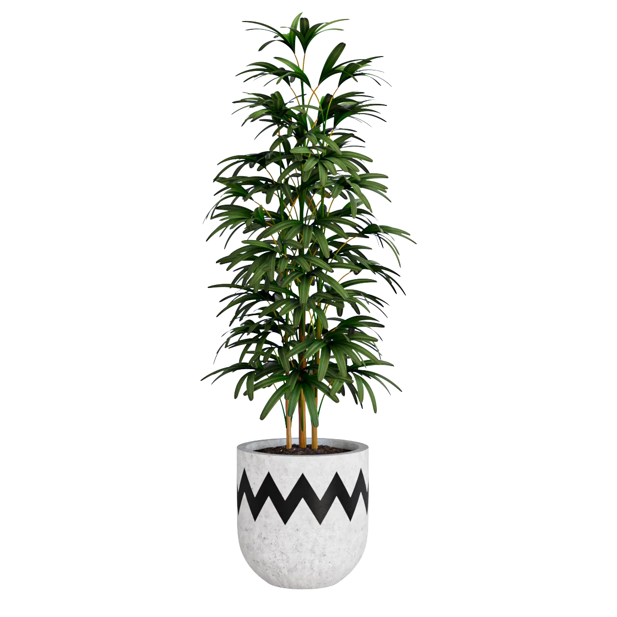 decoration – Bamboo plant 3ds Max